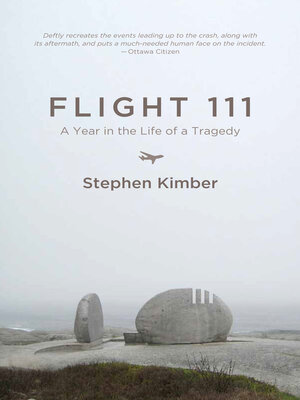 cover image of Flight 111: a Year in the Life of a Tragedy